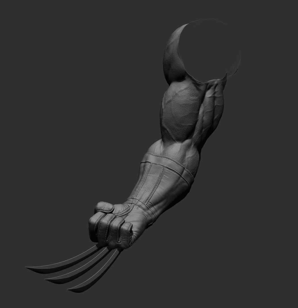 Wolverine arm 3D model https://p.turbosquid.com/ts-thumb/J8/wZWn5x/Fm/11/jpg/1636608989/1920x1080/fit_q87/3363b7ed4a7fb804efec69aac72f65041012373b/11.jpg