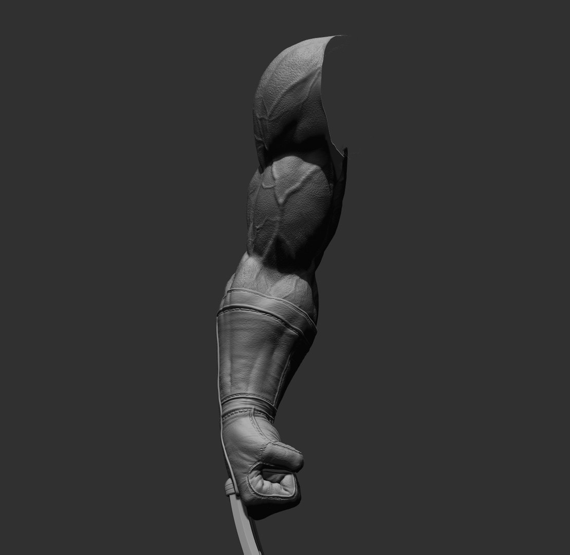 Wolverine arm 3D model https://p.turbosquid.com/ts-thumb/J8/wZWn5x/LB/3/jpg/1636608761/1920x1080/fit_q87/6c72e8ced257cce049534d09f138f709f3a97cc1/3.jpg
