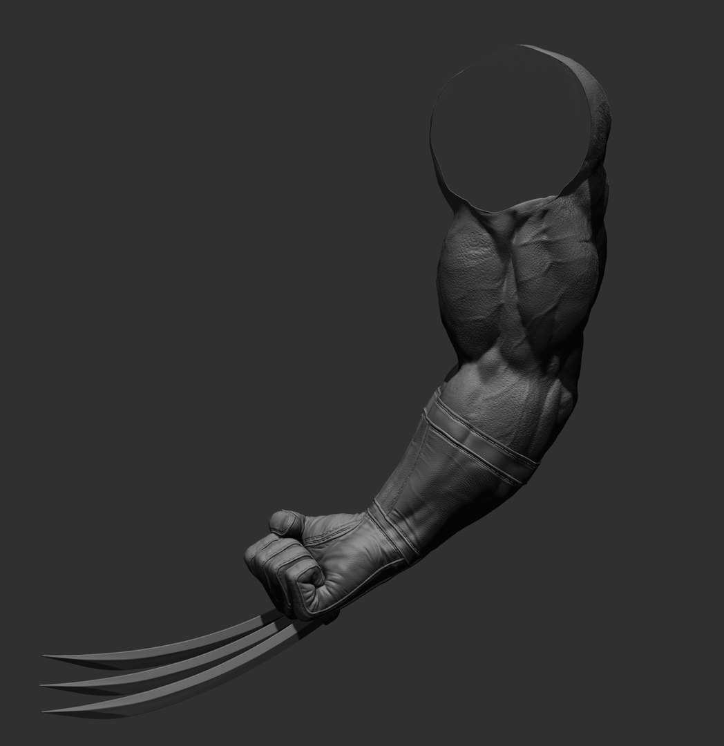 Wolverine arm 3D model https://p.turbosquid.com/ts-thumb/J8/wZWn5x/O5/12/jpg/1636608990/1920x1080/fit_q87/4e3d3720e7b510a10ab33838bd2dccb9f64fa355/12.jpg