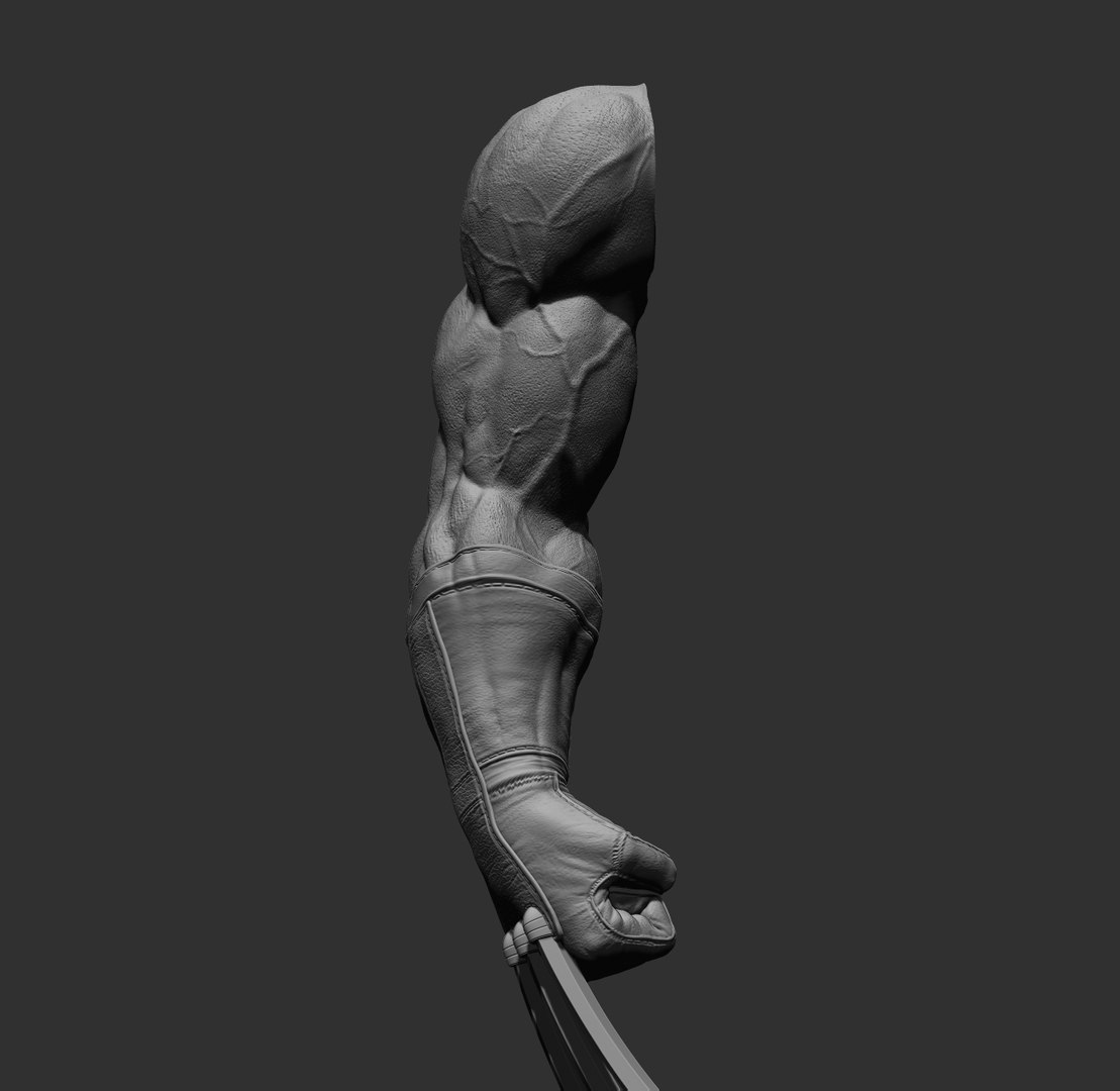 Wolverine arm 3D model https://p.turbosquid.com/ts-thumb/J8/wZWn5x/V4/2/jpg/1636608761/1920x1080/fit_q87/4ce4f455b341298a7bb1ebbb162314c4e0ef1d98/2.jpg