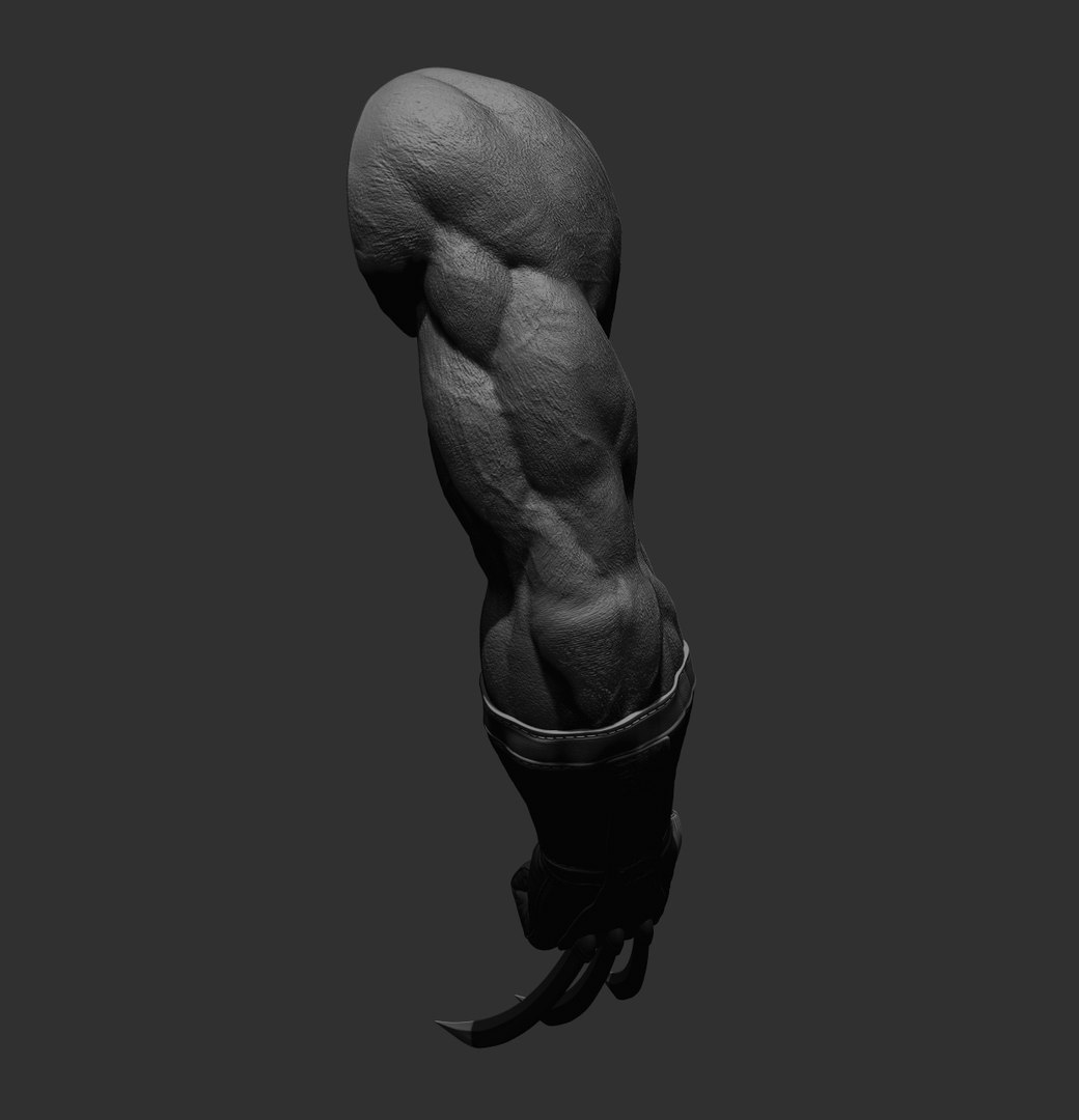 Wolverine arm 3D model https://p.turbosquid.com/ts-thumb/J8/wZWn5x/bt/14/jpg/1636608991/1920x1080/fit_q87/f375b4fd6240238bb2ac2ec3be9f53c2970078c5/14.jpg