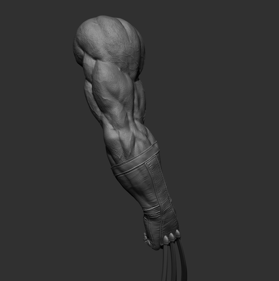 Wolverine arm 3D model https://p.turbosquid.com/ts-thumb/J8/wZWn5x/dJ/7/jpg/1636608763/1920x1080/fit_q87/f448e3b079a886345a5affcc69973957a4bfea51/7.jpg