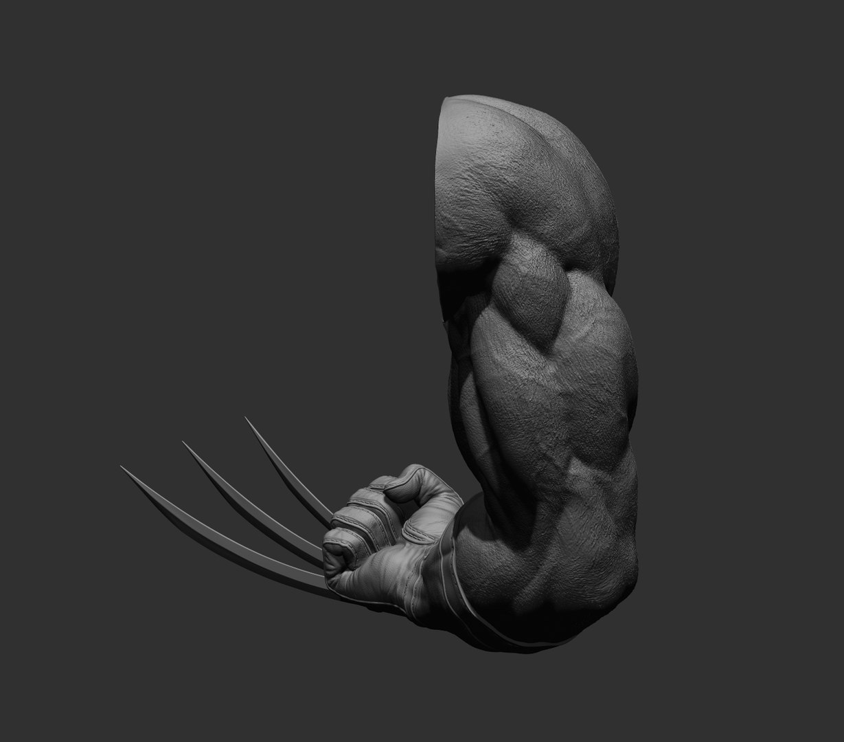 Wolverine arm 3D model https://p.turbosquid.com/ts-thumb/J8/wZWn5x/qY/21/jpg/1636608991/1920x1080/fit_q87/a9e110054ef78e2c7a43402e963eba97fe48cdc8/21.jpg