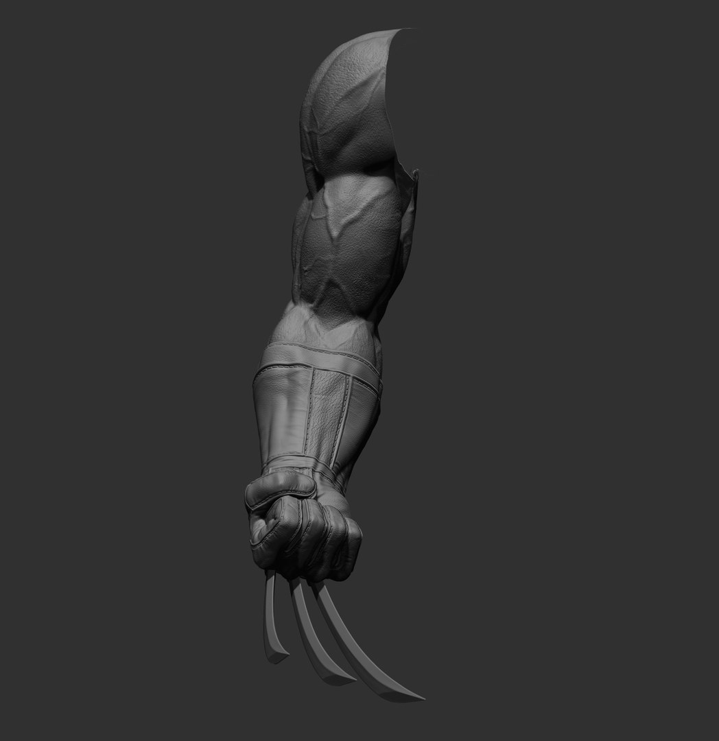 Wolverine arm 3D model https://p.turbosquid.com/ts-thumb/J8/wZWn5x/sN/10/jpg/1636608990/1920x1080/fit_q87/4ef5711cee13eb932ca6c6b3c11a421aac41c89e/10.jpg