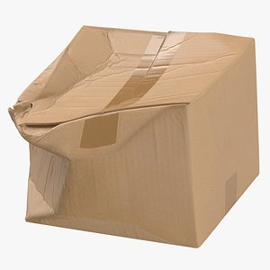 3D Cardboard Box 01 Damaged