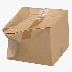 Cardboard Box 01 Damaged