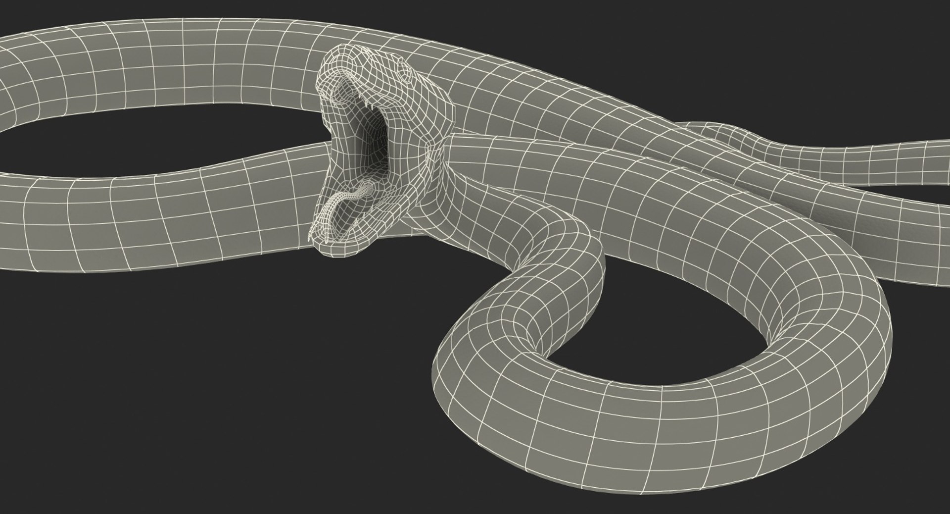 Python snake dark brown colour snake 3D model - TurboSquid 1958339