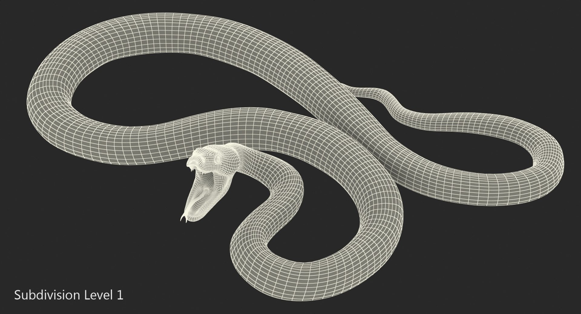 brown python snake rigged 3D model https://p.turbosquid.com/ts-thumb/J9/AtC7EM/H5YVslMo/brownpythonsnakeriggedvray3dmodel018/jpg/1560789417/1920x1080/fit_q87/c594bad6315d1d6580bc61de16575563be069b43/brownpythonsnakeriggedvray3dmodel018.jpg
