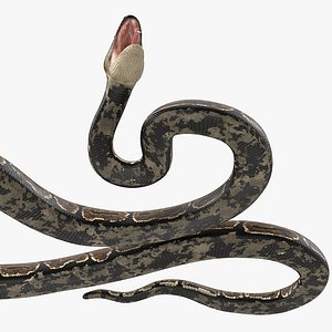 brown python snake rigged 3D model