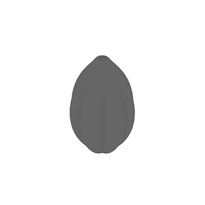 cocoa 3D model