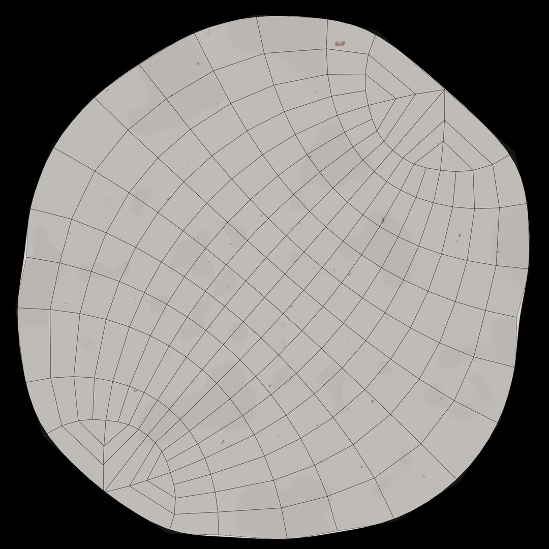 White Egg 3D Model - TurboSquid 1709848