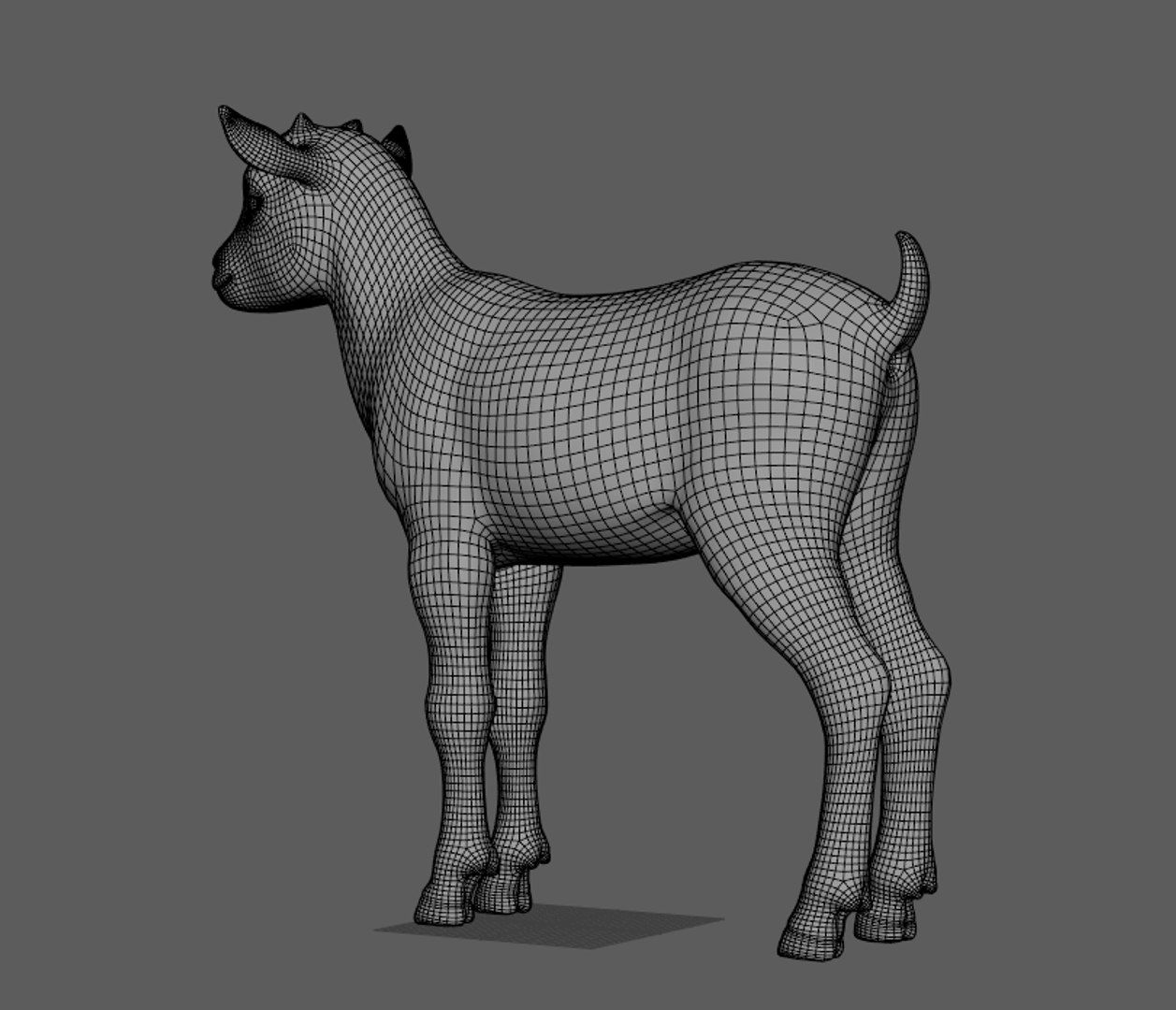 Realistic Little Baby Goat With Fur Faceial Rig3D Model 3D Model ...