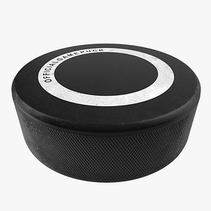 Hockey Puck 2