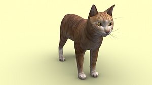 Cat Orange Tabby 3D model