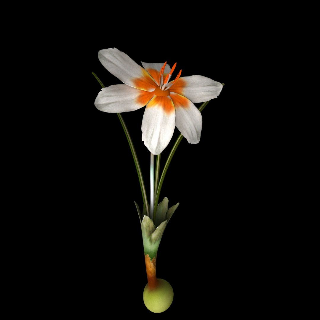 3D flowers open animation model https://p.turbosquid.com/ts-thumb/J9/Y6A1EO/CDCyZm2N/012/jpg/1594217232/1920x1080/fit_q87/ef1c5a5364f1f7a70ee64652e1b7a8783bfb0f7a/012.jpg