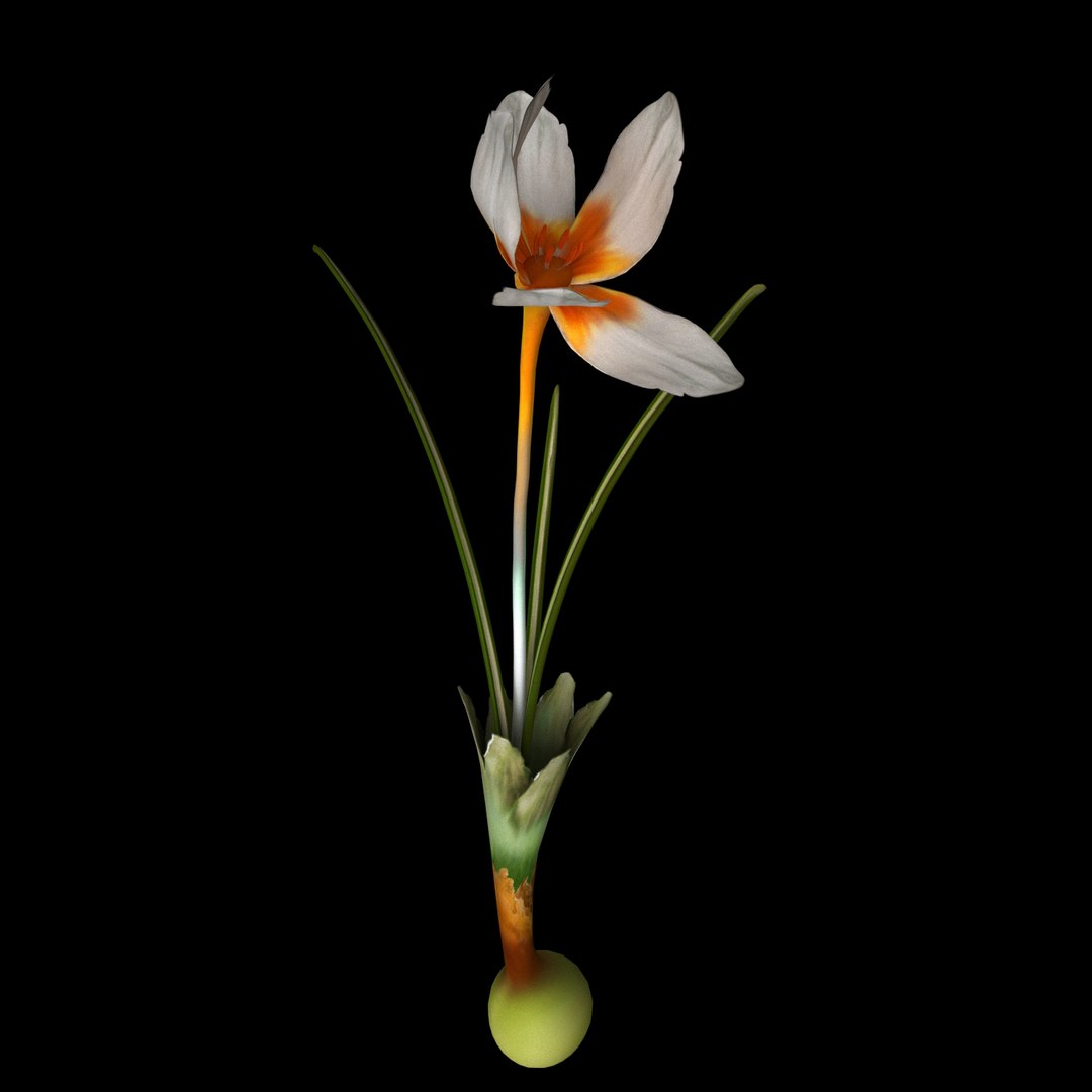 3D flowers open animation model https://p.turbosquid.com/ts-thumb/J9/Y6A1EO/pyOrKNua/011/jpg/1594217232/1920x1080/fit_q87/97574e434fb5100bab354ce255e7e88b30586604/011.jpg