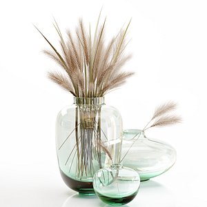small glass vase dry 3D
