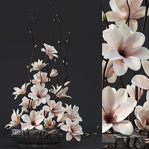 magnolia arrangement max