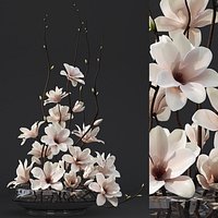 Magnolia arrangement