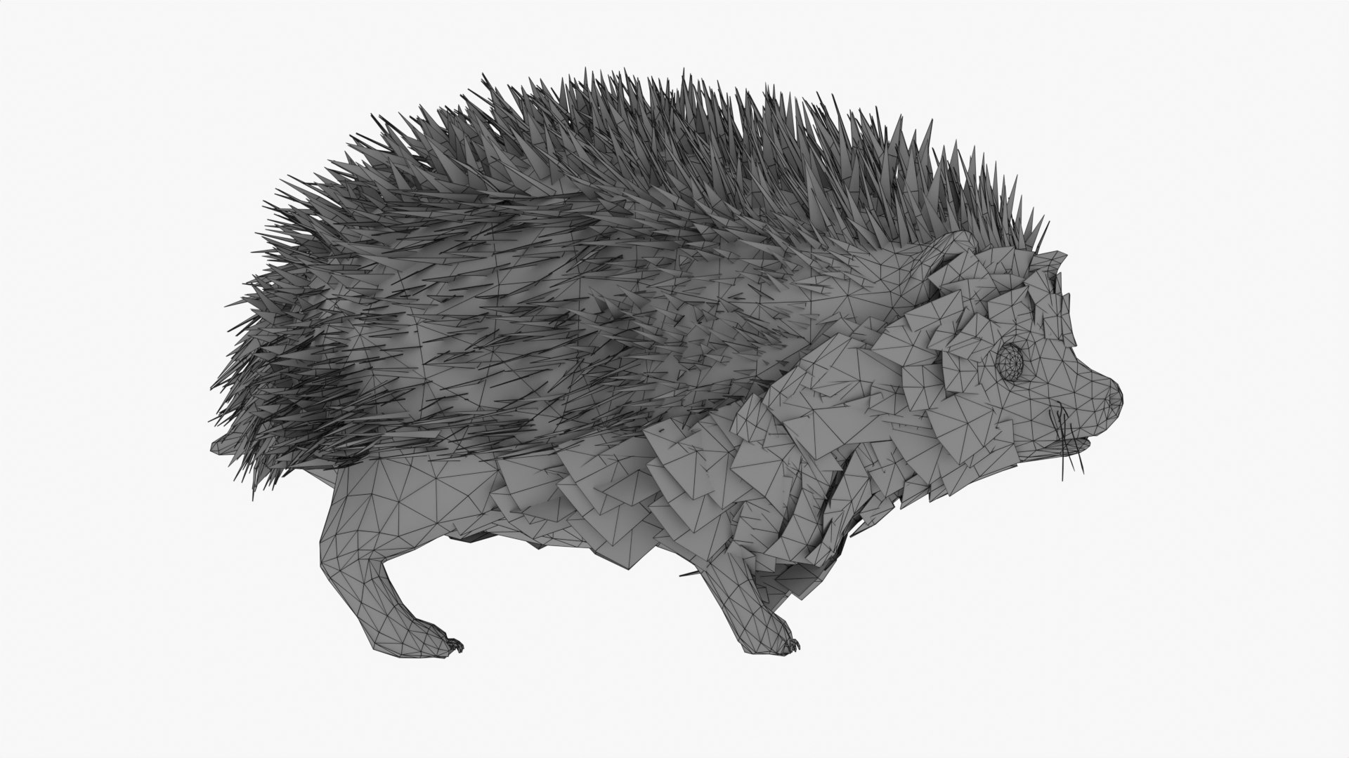 Hedgehog 3D Model - TurboSquid 2403340