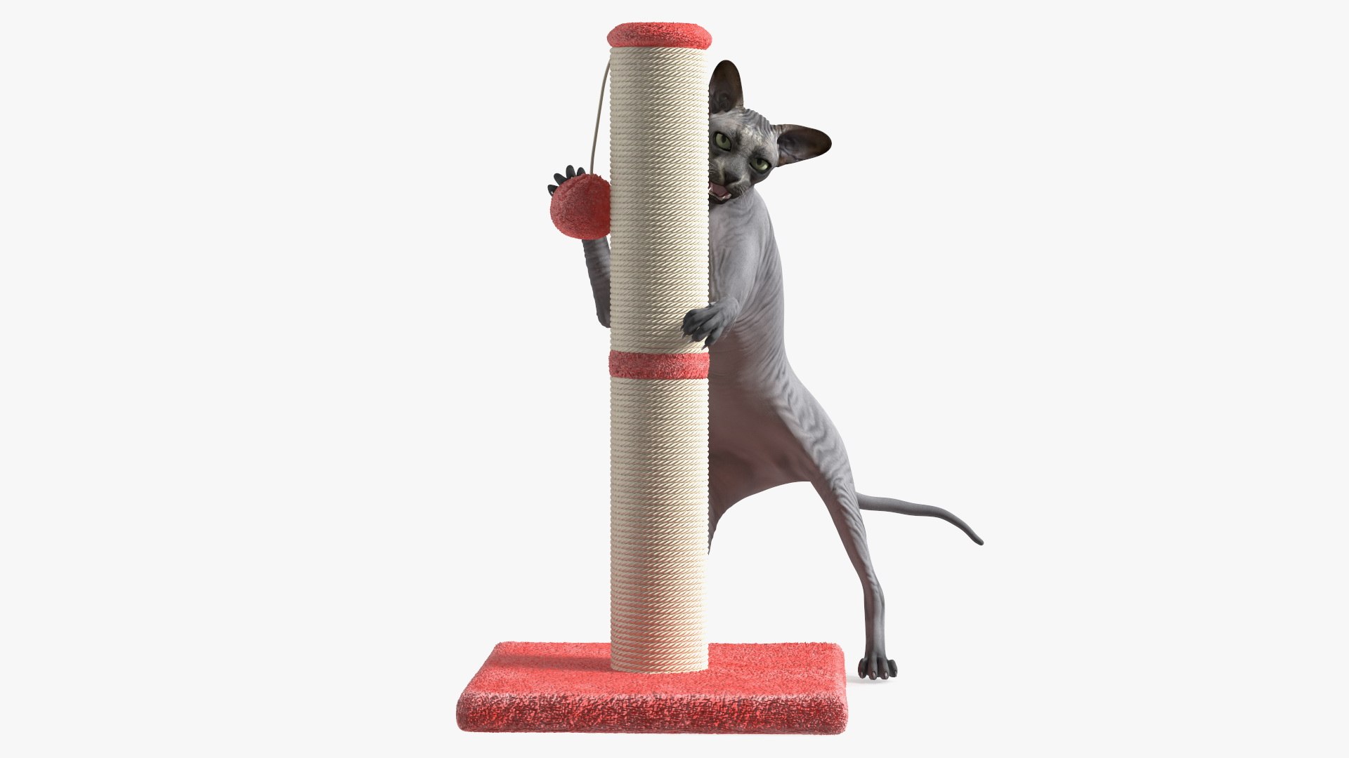 Cat Playing With A Red Scratching Post Rigged 3D model preview