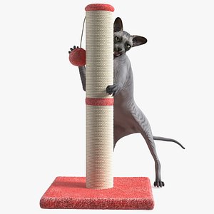 Cat Playing With A Red Scratching Post Rigged 3D