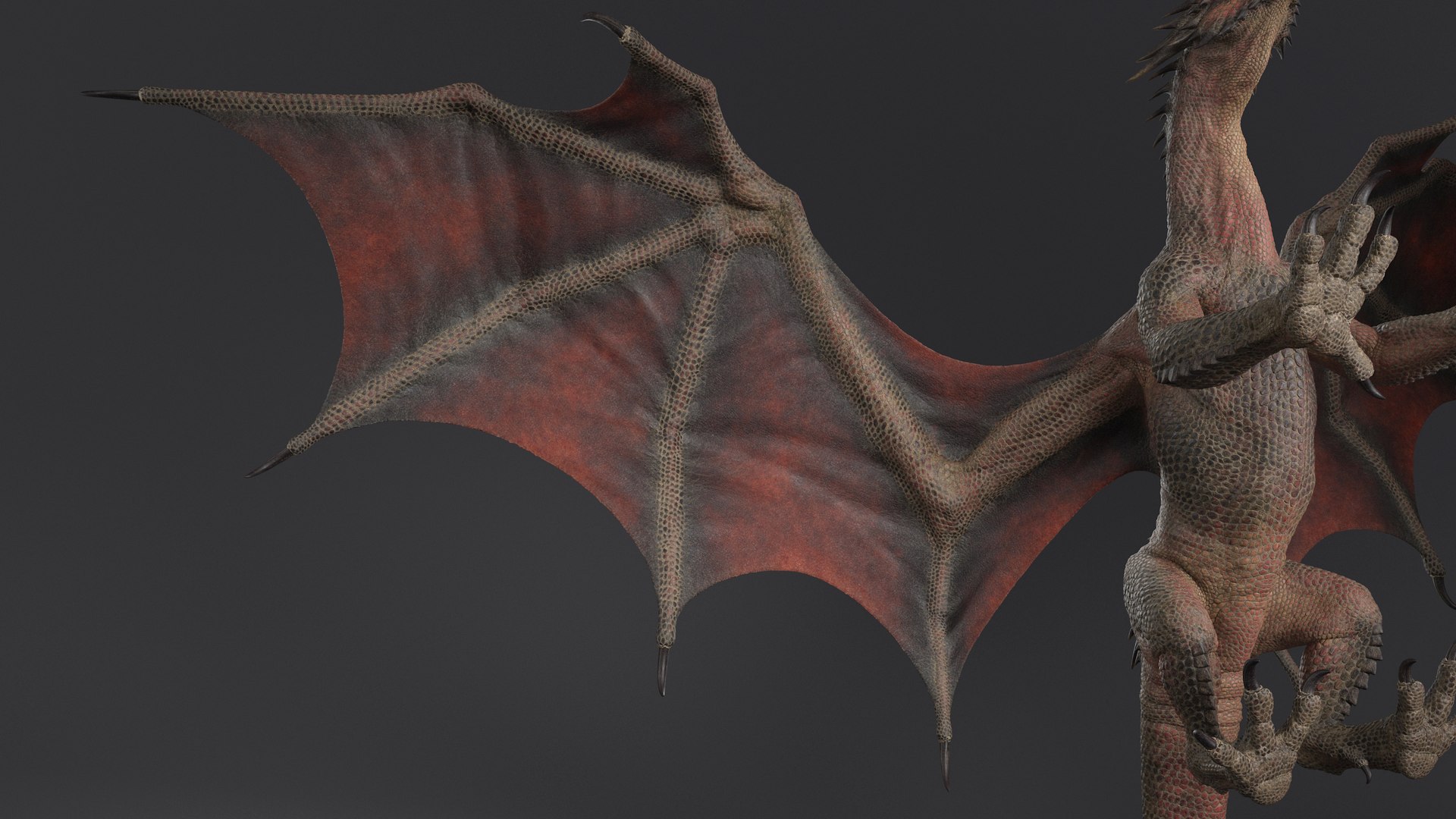 3D Dragon XO Rigged model https://p.turbosquid.com/ts-thumb/JA/3xlutm/ED/nuo008/jpg/1654544777/1920x1080/fit_q87/b49f764d71233451407fbe1b49eeb0d0f7777c0d/nuo008.jpg