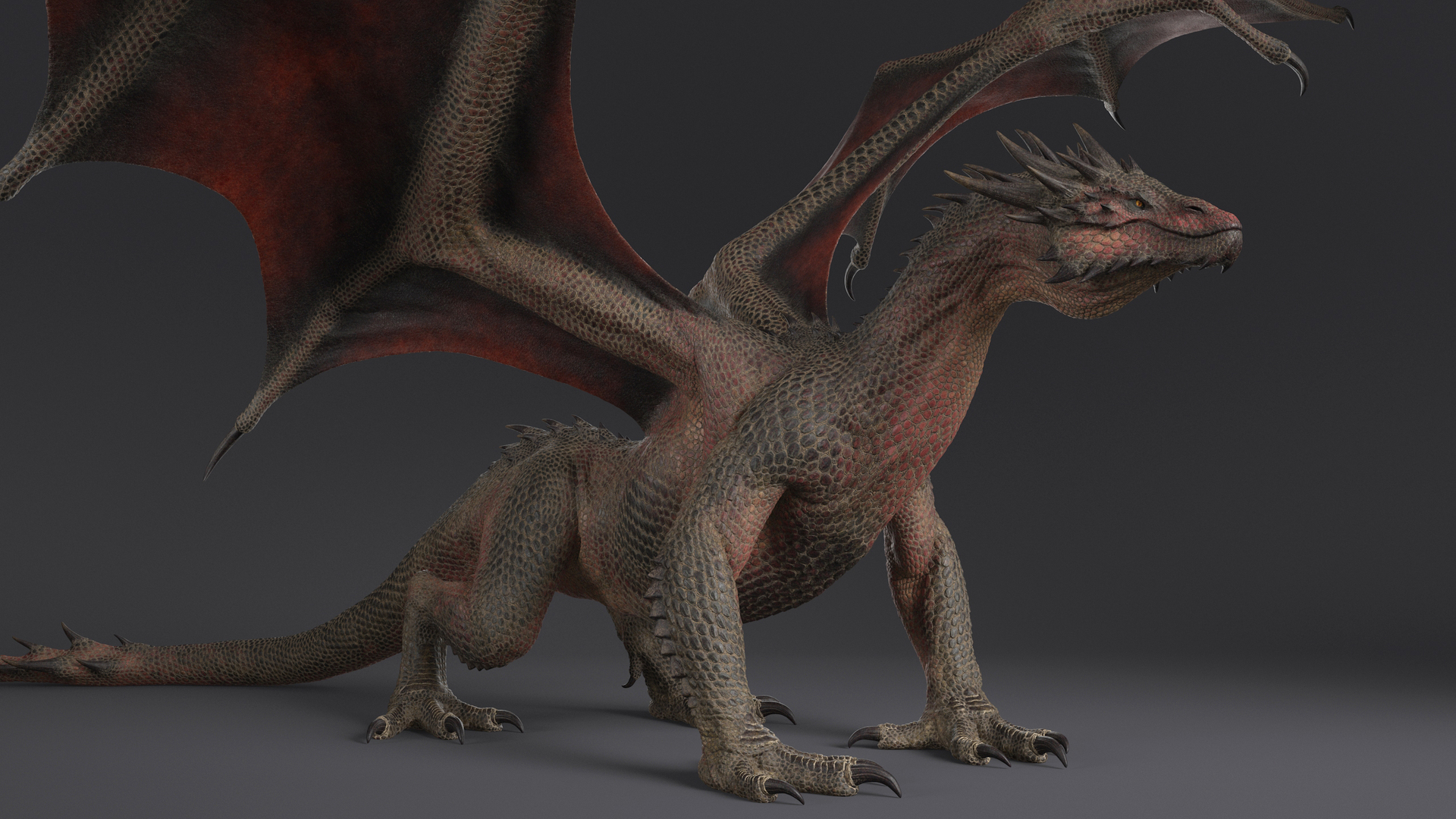 3D Dragon XO Rigged model - TurboSquid 1908313