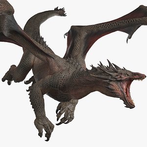 3D Dragon XO Rigged model