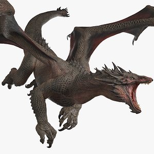 Dragon XO Rigged
