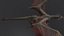Dragon XO Rigged