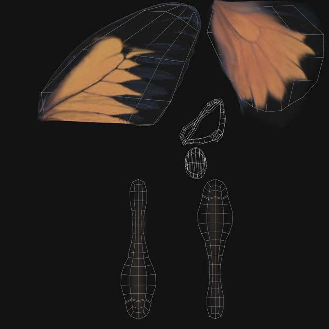 Swarm of Butterflies 3D model https://p.turbosquid.com/ts-thumb/JA/BStvu9/ET/butterfly_uv/jpg/1656602307/1920x1080/fit_q87/234e6e351ae39bf9bb9b7f417b1e55a1c622b9d4/butterfly_uv.jpg