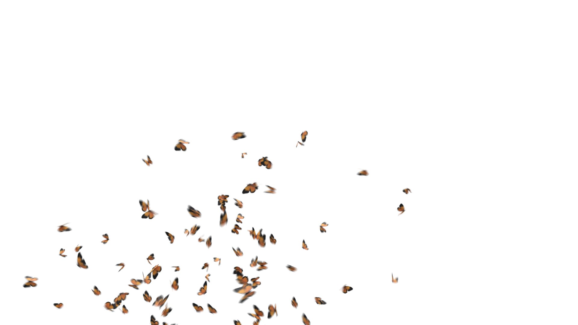 Swarm of Butterflies 3D model https://p.turbosquid.com/ts-thumb/JA/BStvu9/UK/butterfly_v1_0065/jpg/1656602417/1920x1080/fit_q87/4e3cbf3a4a6972873611265d427243c25917dcc1/butterfly_v1_0065.jpg