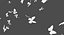 Swarm of Butterflies