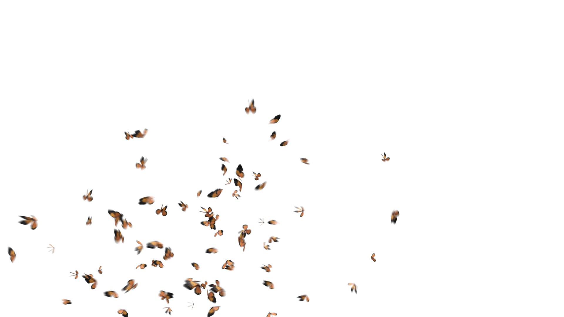 Swarm of Butterflies 3D model https://p.turbosquid.com/ts-thumb/JA/BStvu9/mR/butterfly_v1_0074/jpg/1656602224/1920x1080/fit_q87/1af425bfef4a546eba3542328c591ed610d6d17b/butterfly_v1_0074.jpg