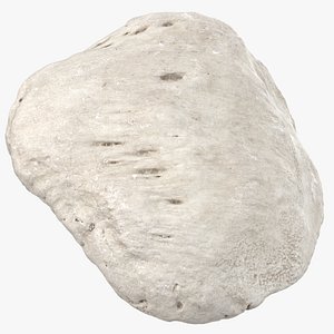 real human patella bone 3D