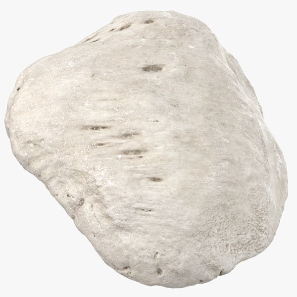 Human on sale knee cap