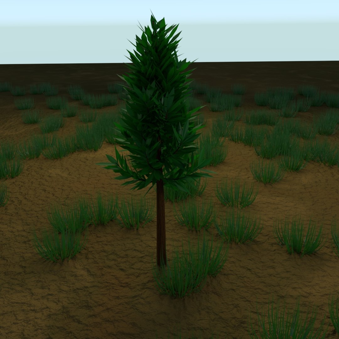 3d tree - https://p.turbosquid.com/ts-thumb/JA/MlXxJG/0vAsL6R0/img3/jpg/1442458696/1920x1080/fit_q87/c2d6ddc22dbd883e06b0c07cda6d68909183c34b/img3.jpg