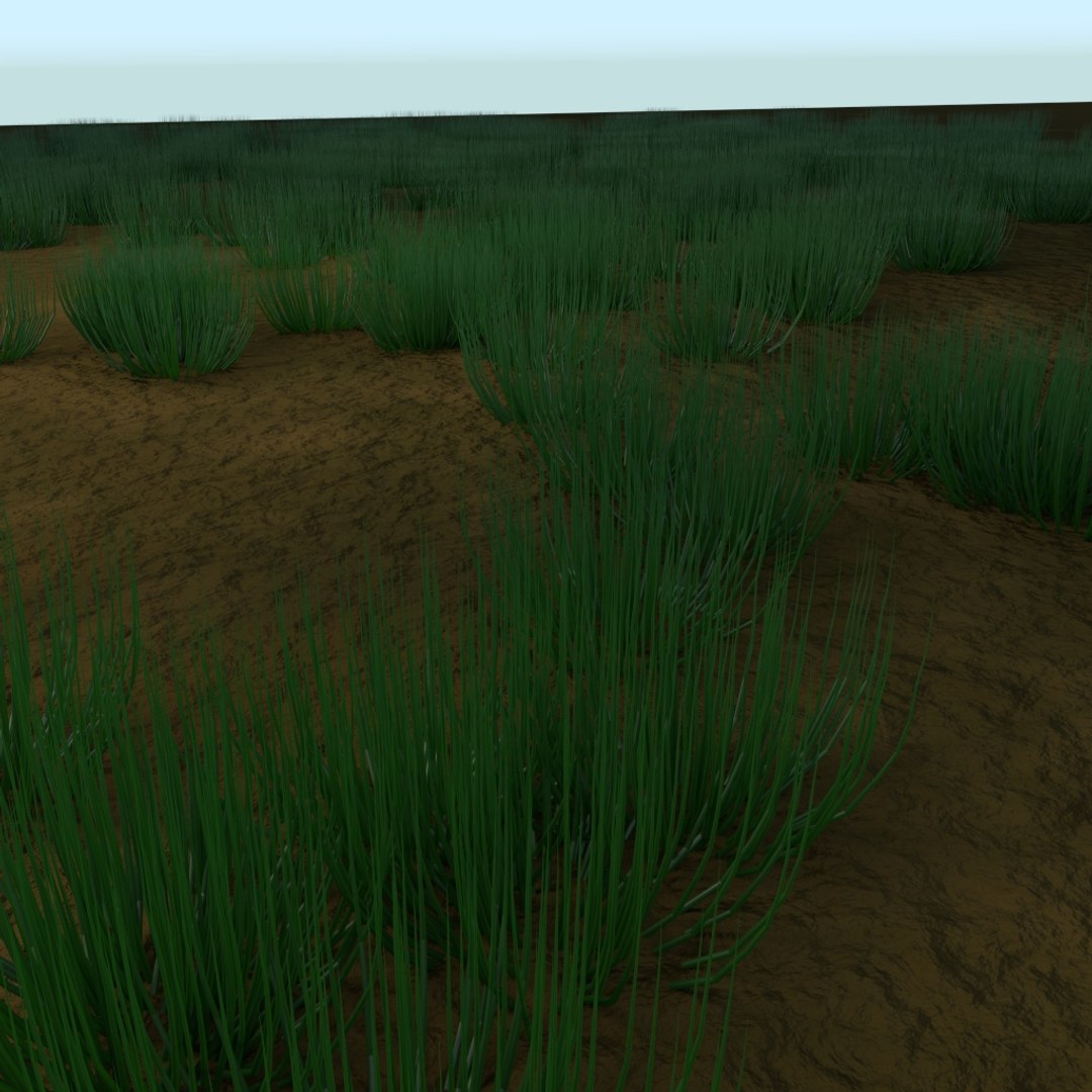 3d tree - https://p.turbosquid.com/ts-thumb/JA/MlXxJG/iMg5OSYR/img2/jpg/1442458760/1920x1080/fit_q87/fb95ef42bb3aaf7a2c9ad56f81d690043ae25389/img2.jpg