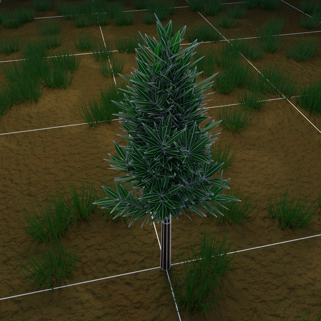 3d tree - https://p.turbosquid.com/ts-thumb/JA/MlXxJG/r3HehlMO/wire1/jpg/1442458760/1920x1080/fit_q87/8c4267442ba7d10a36f94bc3f6ab0961ab6e8bc5/wire1.jpg