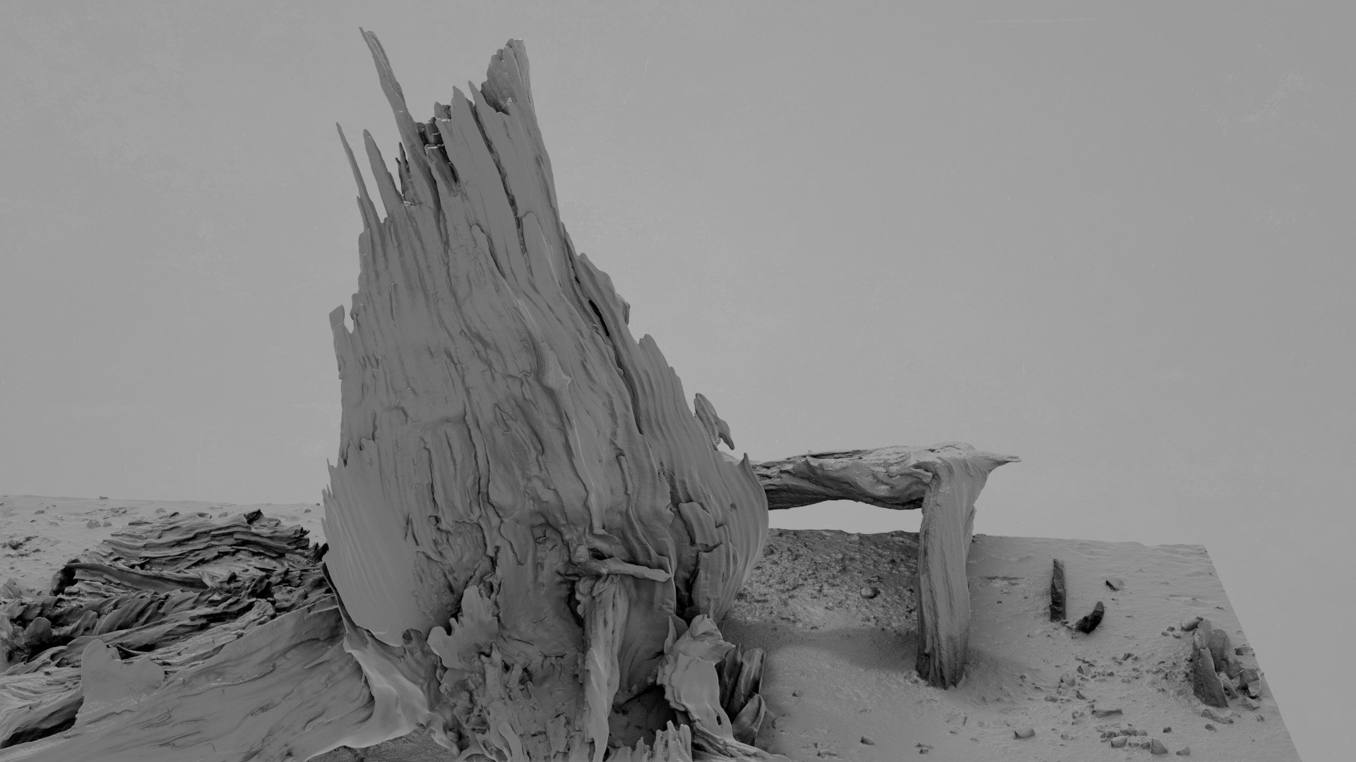 Dead Tree 003 3D Model - TurboSquid 2324901