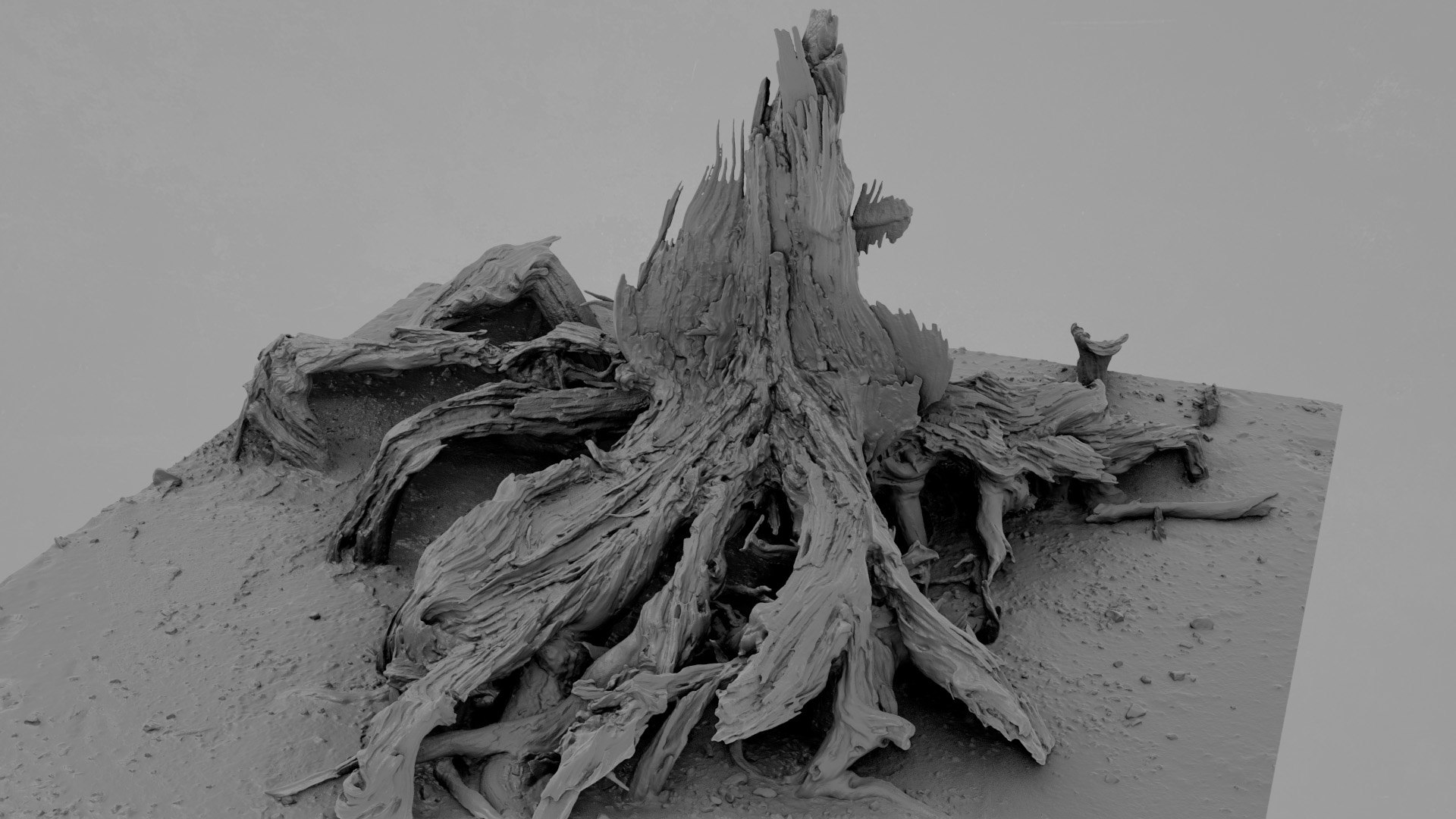 Dead Tree 003 3D Model - TurboSquid 2324901
