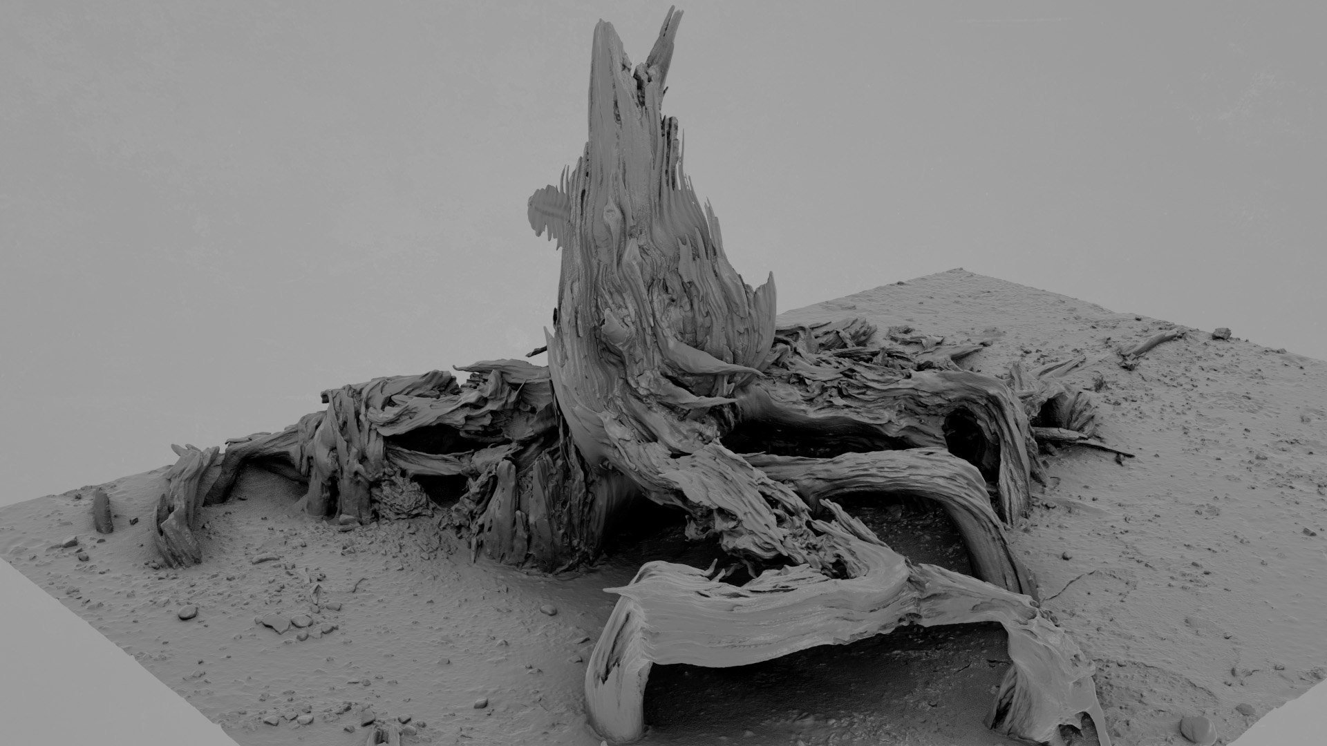 Dead Tree 003 3D Model - TurboSquid 2324901