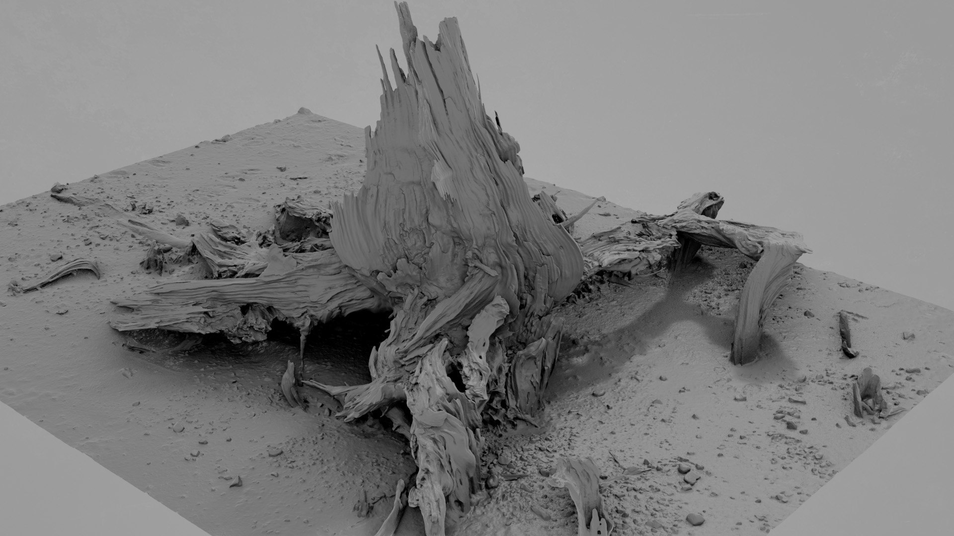Dead Tree 003 3D Model - TurboSquid 2324901