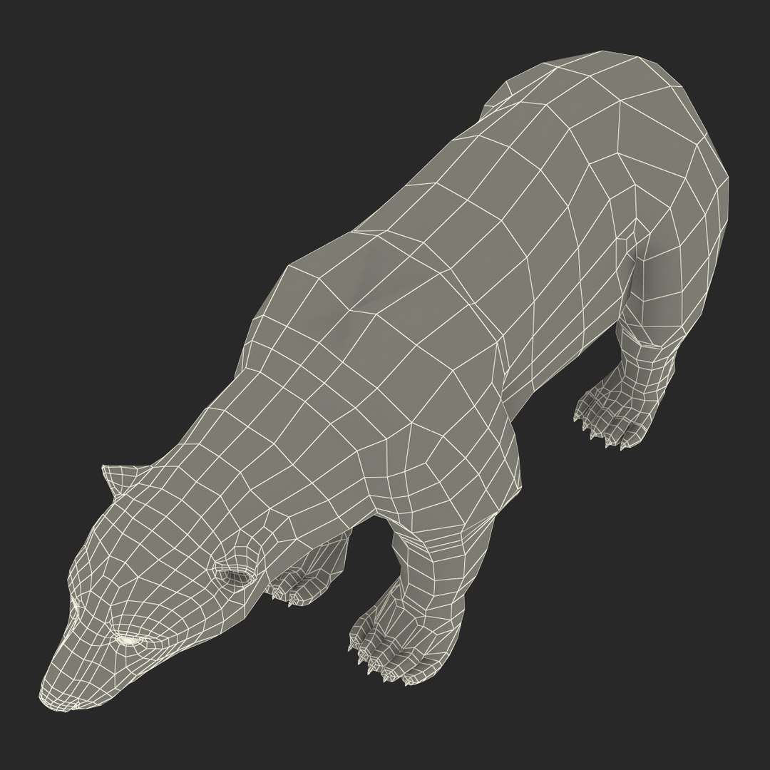 Polar Bear Rigged 3d Max