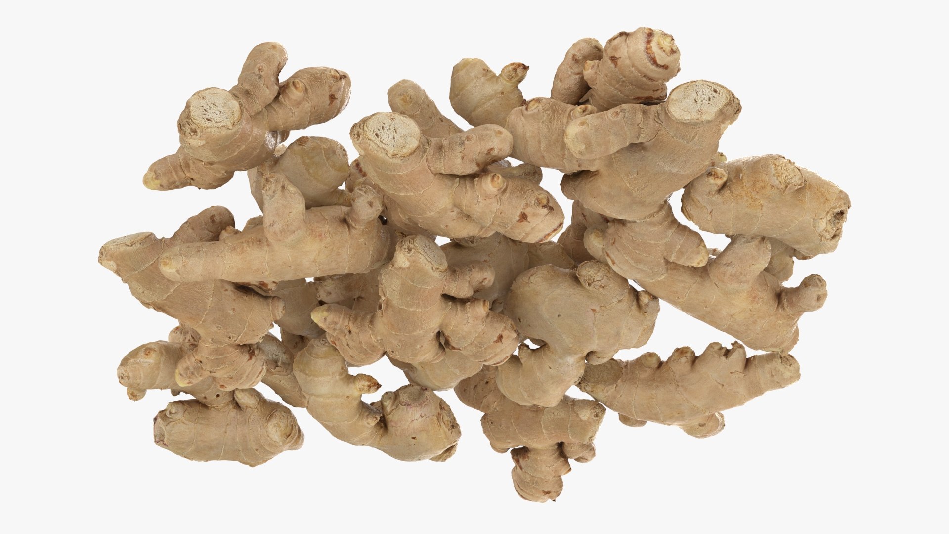 Pile Fresh Ginger Root 3D Model - TurboSquid 2388947