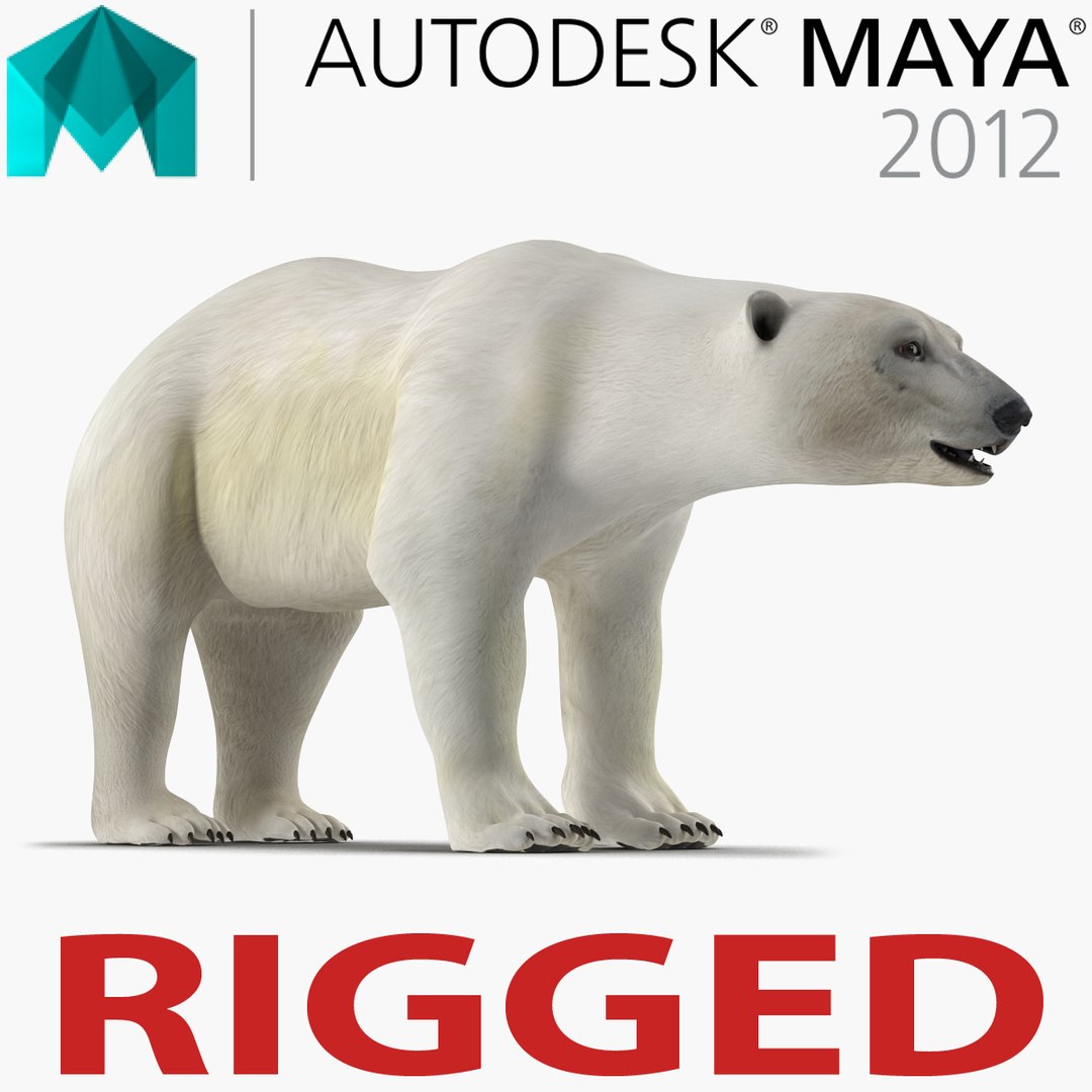 ma polar bear rigged https://p.turbosquid.com/ts-thumb/JA/TlMyW5/k4XocX1q/polarbearriggedmayamb3dmodel00/jpg/1479917434/1920x1080/fit_q87/cfa7da0e07ccb0847001c1d6934982615723dec3/polarbearriggedmayamb3dmodel00.jpg