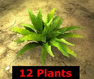 3ds max ready plants pack