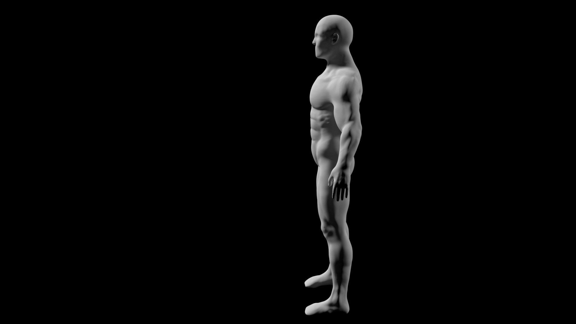Body Reference 3D - TurboSquid 1583572