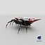 Spiny Orb Weaver Spider 3D Model